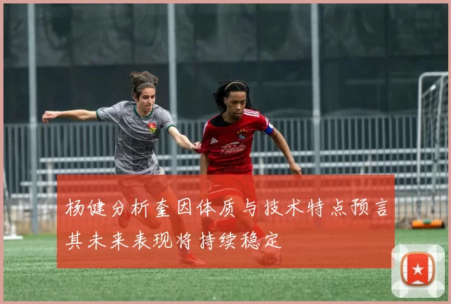 杨健分析奎因体质与技术特点预言其未来表现将持续稳定