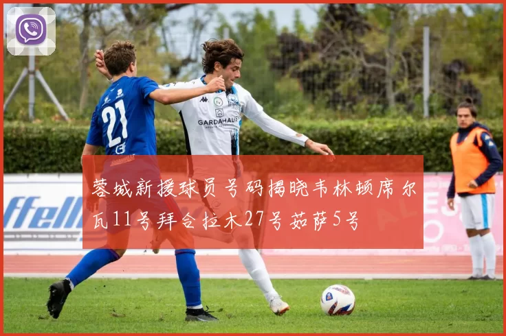 蓉城新援球员号码揭晓韦林顿席尔瓦11号拜合拉木27号茹萨5号
